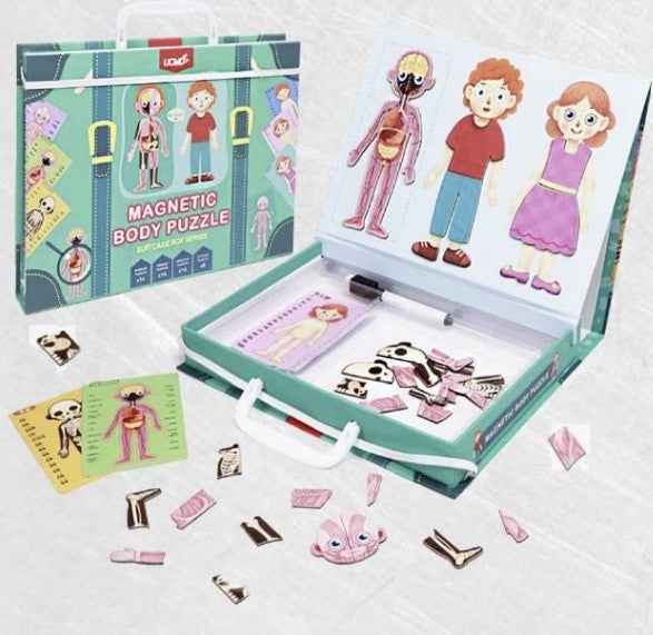 Magnetic Suitcase Series – Human Body