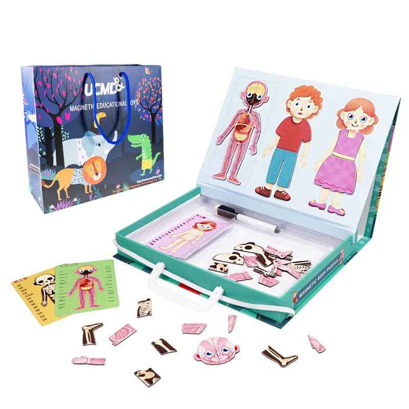 Magnetic Suitcase Series – Human Body