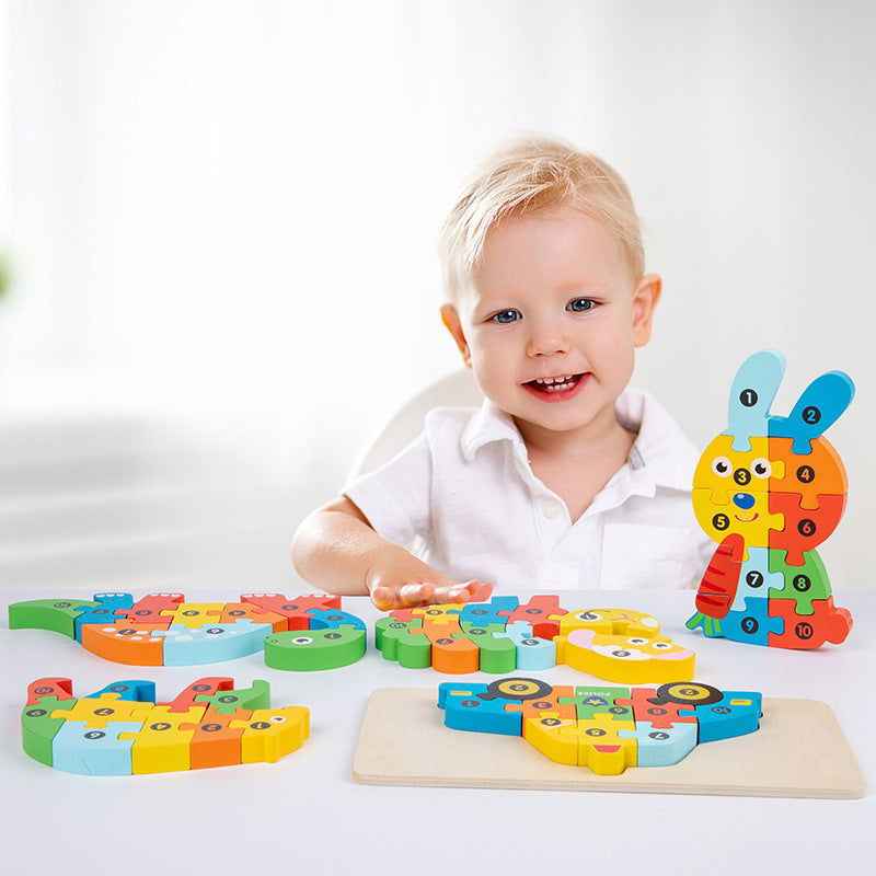 Wooden 3D Puzzle Jigsaw