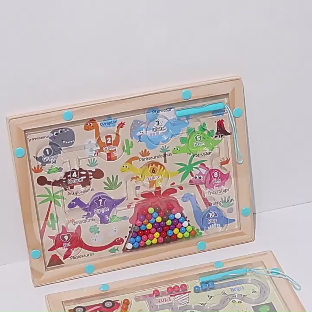 Video of the Magnetic Bead